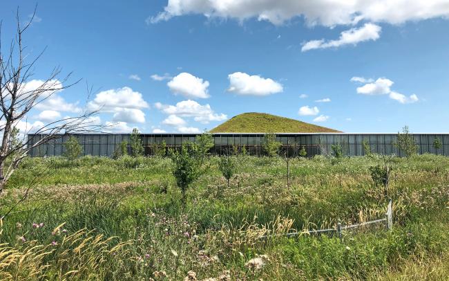 A meadow in front of a building with a pitched green roof